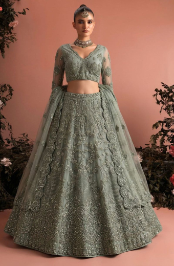 Moss Green Embroidered Net Designer Lehenga Choli