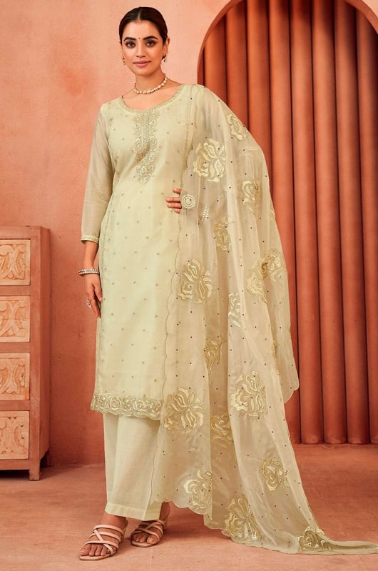 Cream Embroidered Organza Pant Kameez