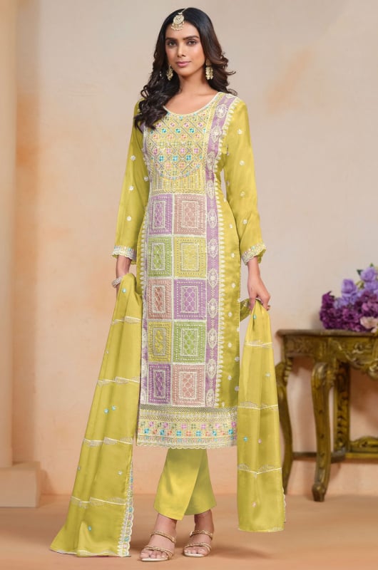Multicolor Embroidered Organza Pant Kameez