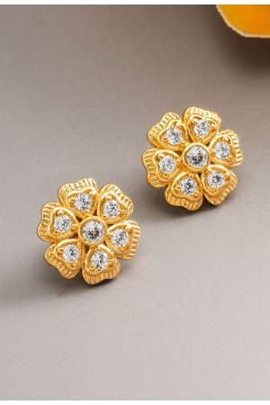 Amazing Rose Gold Earrings