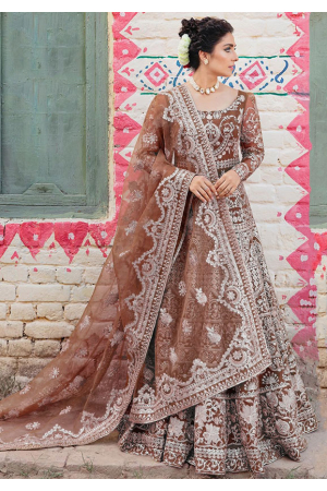 Brown Embroidered Net Anarkali Gown with Dupatta