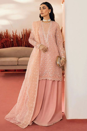 Coral Pink Embroidered Organza Palazzo Kameez