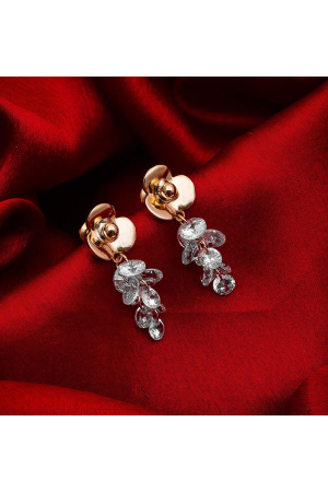 Dazzling AD Studded Earrings