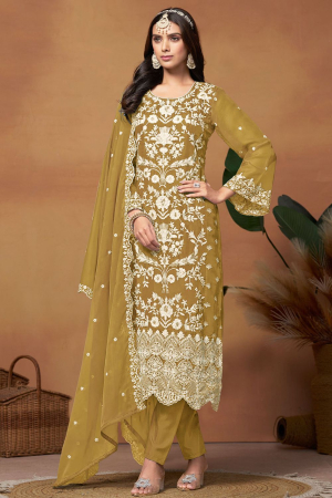 Mehendi Embroidered Organza Plus Size Suit