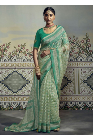 Mint Green Brasso Saree with Embroidered Blouse