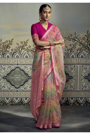 Multicolor Brasso Saree with Embroidered Blouse