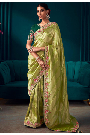 Pastel Green Pure Banarasi Kanjivaram Silk Embroidered Saree