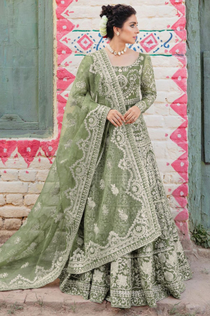 Sauf Green Net Embroidered Anarkali Suit