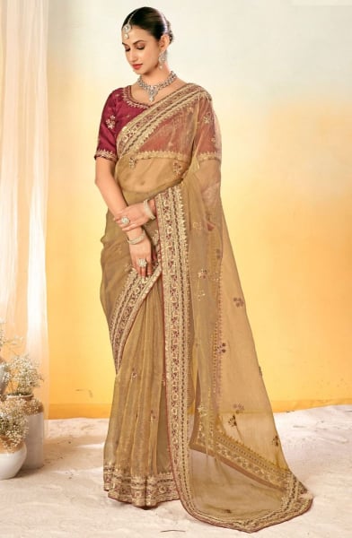 Beige Brown Embroidered Designer Saree for Wedding