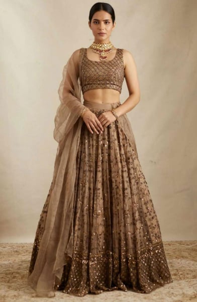 Beige Brown Sequins Embroidered Net Lehenga Choli