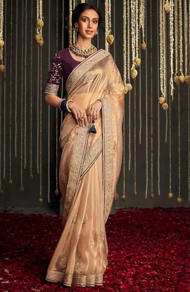 Blush Beige Embroidered Heavy Designer Saree