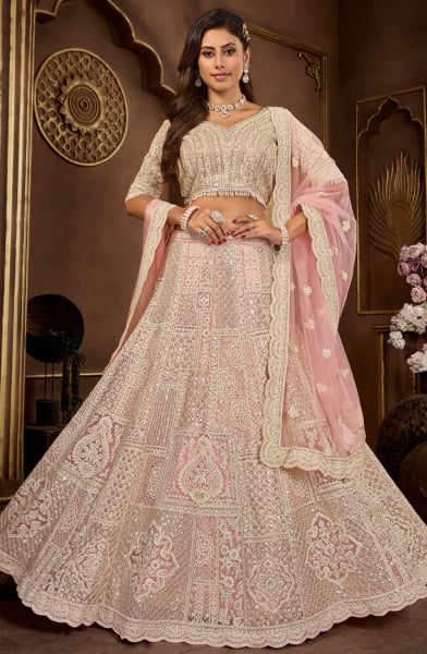 Blush Pink Embroidered Net Designer Lehenga Choli