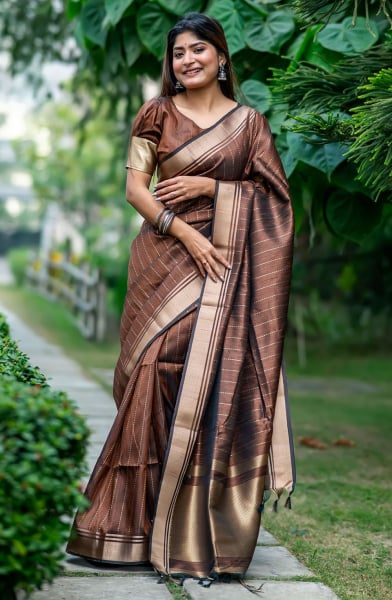 Brown Raw Silk Zari Woven Saree