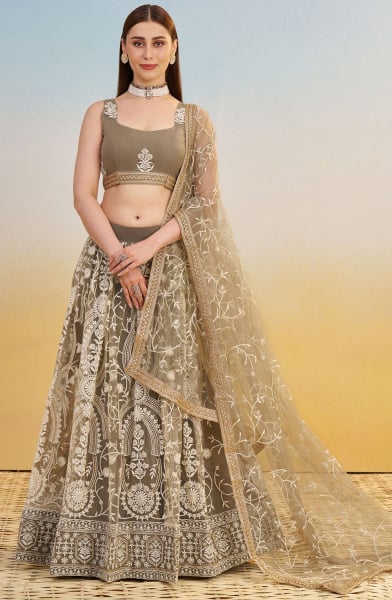 Dusty Grey Embroidered Net Designer Lehenga Choli