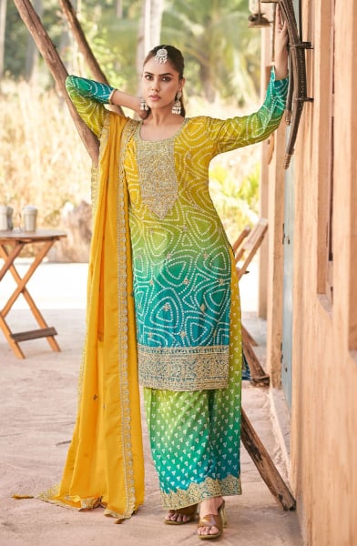Multicolor Embroidered Chinnon Palazzo Kameez