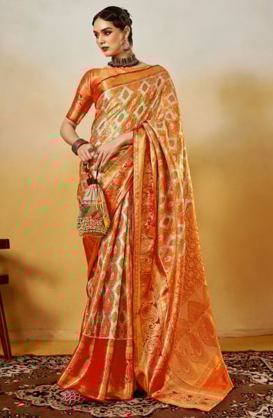 Multicolor Woven Pure Handloom Dharmavaram Silk Saree