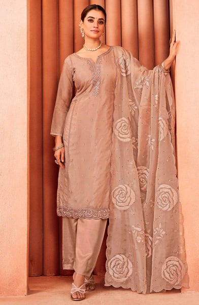 Rose Gold Embroidered Organza Pant Kameez