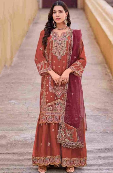 Rust Embroidered Organza Readymade Sarara Kameez