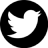 twitter_icon
